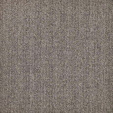 Modulyss 24 First Forward First Forward 140 фото 1 | FLOORDEALER